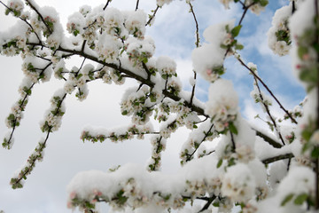 Aprilwetter