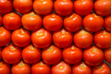 Tomatoes