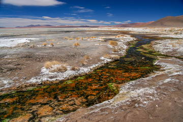 Fototapeta na wymiar Altiplano hot springs