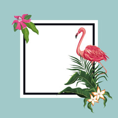flamingo exotic tropical card template vector illustration eps 10