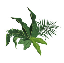 tropical leave palm tree image vector illustration eps 10