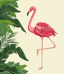 flamingo exotic tropical bird with leaf plam vector illustration eps 10