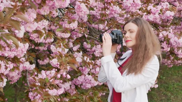beautiful girl tourist takes photos of cherry blossom sakura tree spring pink flowers