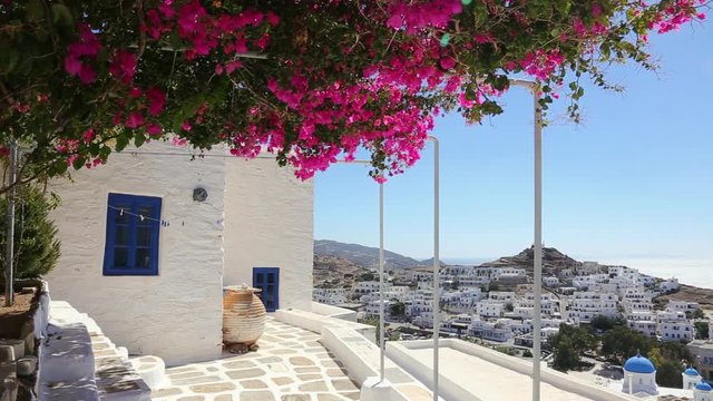Wind playing with purple pink flower shrub on a terrace of traditional white house with blue window shutters on Ios island, Greece.