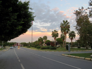 Palm trees on a sunset background in the Turkish city of Side