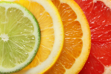 Four slices of citrus fruits, closeup