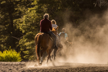 caballos en la playa, cabalgata © chfortunato2015