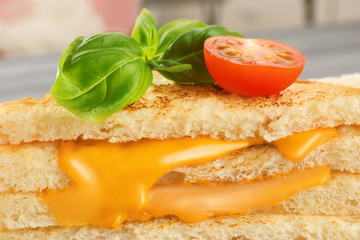 Tasty sandwich with cheese, closeup