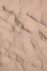 Sand Textured Close-up