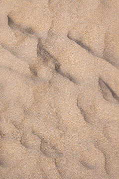 Sand Textured Close-up