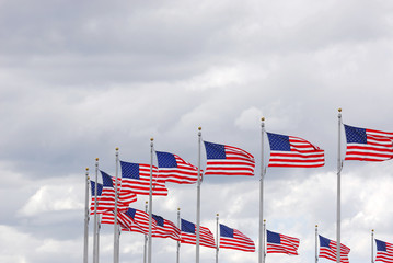 USA flags in a row waving in the wind