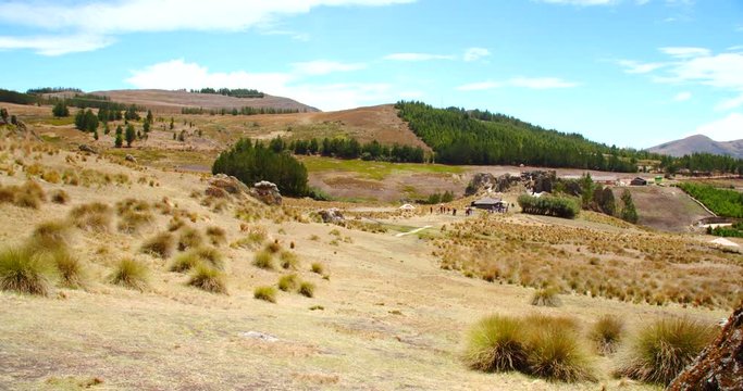 Ichu feathergrass in Andean landscape, Peru (Cumbemayo)