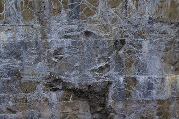 Colorful Salty Concrete Wall Texture at the Beach