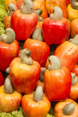 Cashew fruit