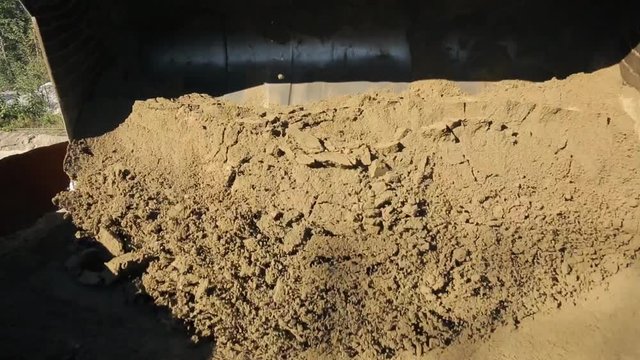 Wheel loader unloads sand in the bunker at the plant during the summer. The heavy machine on four wheels is equipped with a large wide bucket, which is attached to the front of the unit and driven by