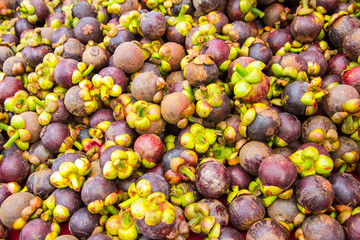 Mangosteen in Thailand