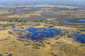 Okavango delta (Okavango Grassland) is one of the Seven Natural Wonders of Africa (view from the...