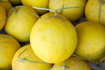 yellow melon รn the market