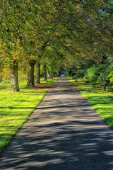 Licht und Schatten weg