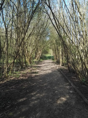 Obraz premium chemin