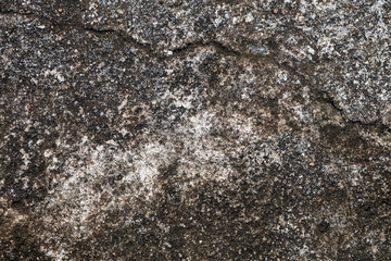 concrete cement wall