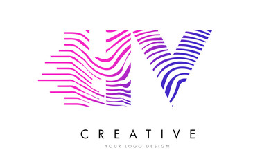 HV H V Zebra Lines Letter Logo Design with Magenta Colors