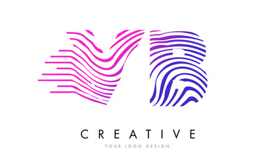 VB V B Zebra Lines Letter Logo Design with Magenta Colors