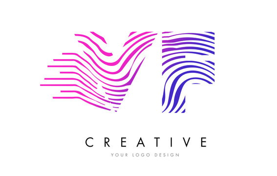 VF V F Zebra Lines Letter Logo Design with Magenta Colors