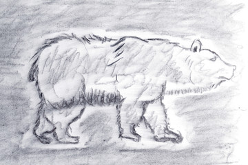 Obraz premium Bear Sketch drawn with charcoal