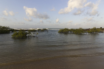 Sunset in Natal beach - Rio Grande do Norte, Brazil