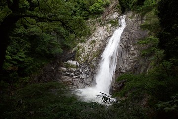 Fototapeta premium The Nunobiki Falls 布引の滝