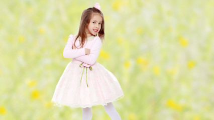 Obraz na płótnie Canvas Elegant little girl in a pink dress.