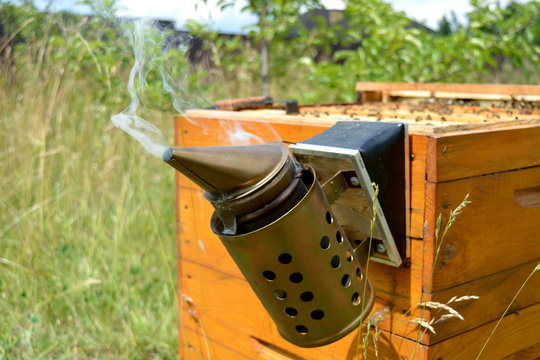 Fuming smoker on the Langstroth beehive during inspection