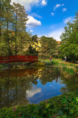 Obraz premium Oasis in botanical garden in Zagreb,Croatia