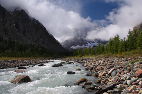 Rough mountain river in valley among rocky shores and larch trees on a background of snowy mountains under the blue sky and white clouds. Aktru, Altai Mountains, Siberia, Russia.