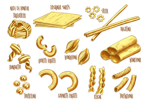 Vector sketch icons of Italian pasta variety