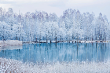 Beautiful landscape with reflection in the blue water. Tree branches are snow covered and look very beautiful at lake in the park after spring blizzard in the afternoon. - obrazy, fototapety, plakaty