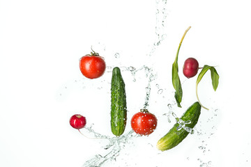 The fresh tomatos, cucumbers, radish in spray of water.