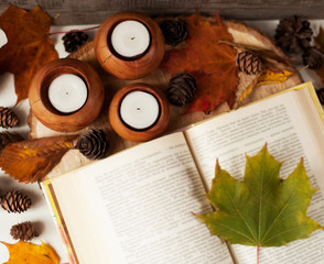 Naklejka na ściany i meble autumn leaves and book