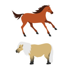 Horse pony stallion isolated different breeds color farm equestrian animal characters vector illustration.