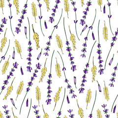 Lavender flower colorful seamless vector pattern hand drawn graphic texture background, triticale herb sketch isolated on white for wallpaper, textile, design package, wedding card, natural medicine