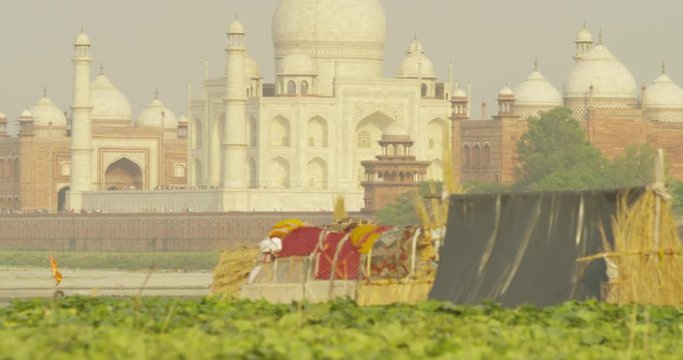 Kakri (Indian Cucumber), and Ghiya (Bottle Gourd) farmers the Taj Mahal