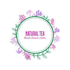 Thyme branch, leaves, Round color frame, wreath with space for you text, Botanical hand drawn vector Illustration isolated on white, Healing herbs for card, invitation, packaging tea, coametic, label