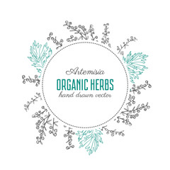 Round frame with Artemisia absinthium or wormwood hand drawn vector illustration isolated on white, Also called absinthium, absinthe wormwood, wormwood, common wormwood, Wormwood herb, Absinthe plants