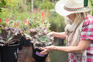 Woman choosing plants at nursery