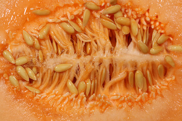 Cantaloupe-Melone