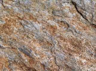Granite Color Swatch Texture