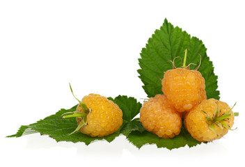 Ripe yellow raspberry
