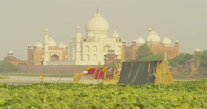 Kakri (Indian Cucumber), and Ghiya (Bottle Gourd) farmers the Taj Mahal