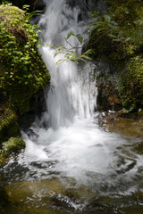 Fototapeta premium 滝